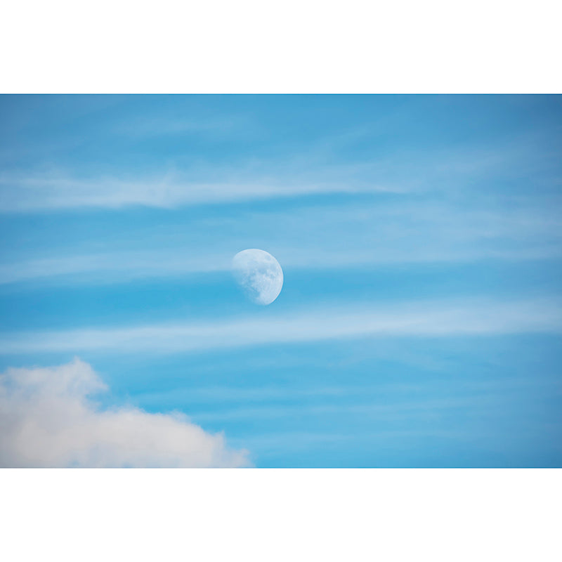 White Cloud and Blue Sky Scene Wall Decor Stain Proof  Wall Mural for Living Room