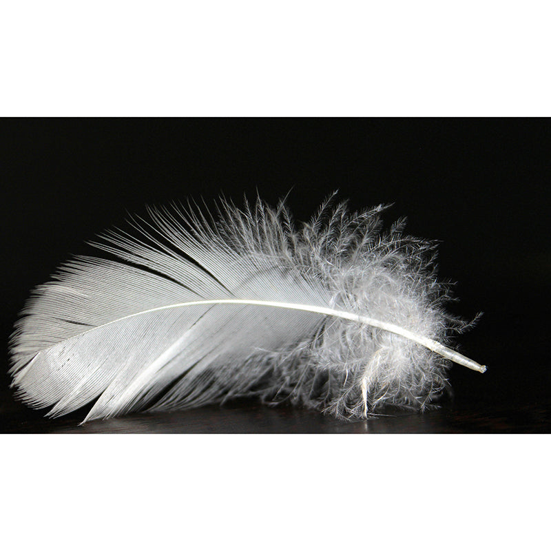 Feather Mural Wallpaper Minimalist Wall Covering for Sitting Room Decoration