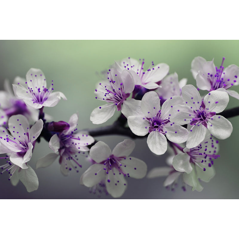 Home Decor Blossoming Flower Mural Wallpaper Customized Modern Wall Covering for Girls Room