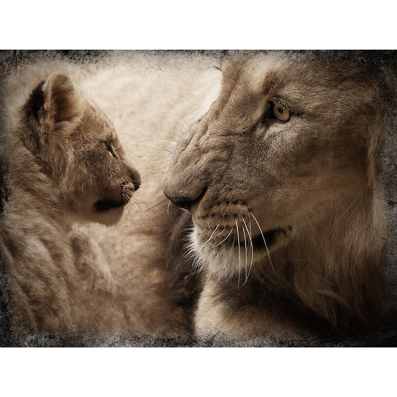 Contemporary Tropical Lion Mural Wall Decor Mildew Resistant Wall Art for Home Decor