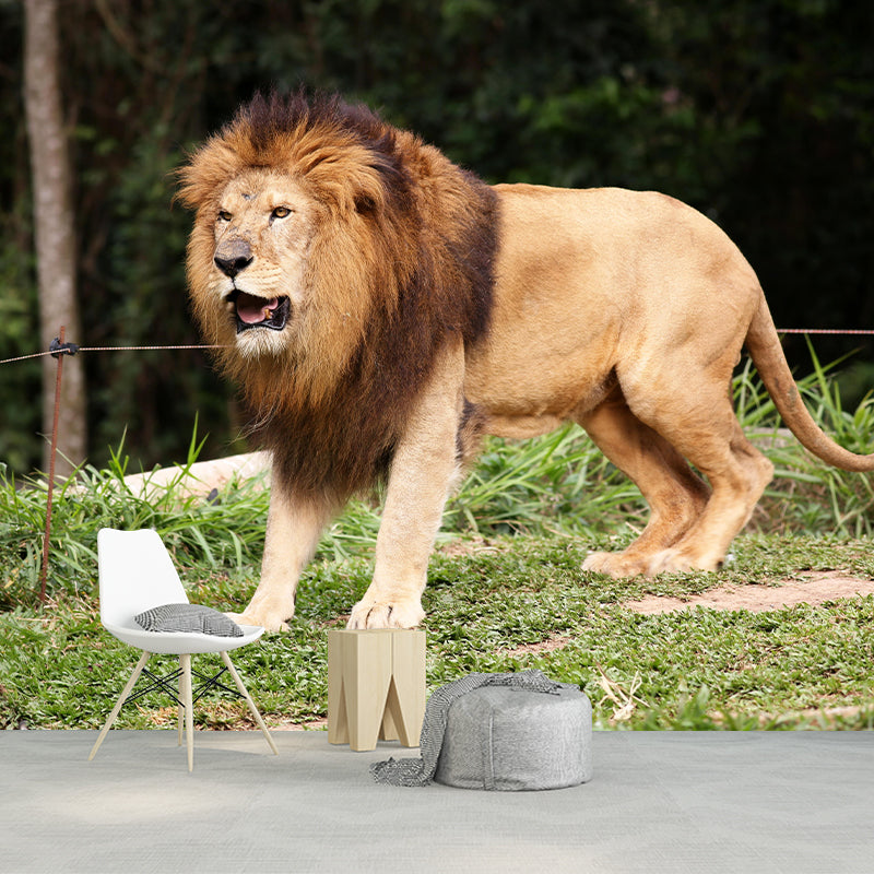 Contemporary Tropical Lion Mural Wall Decor Mildew Resistant Wall Art for Home Decor