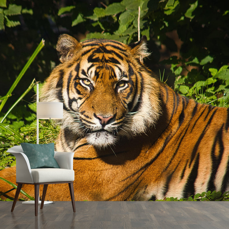 Photography Tropical Tiger Mural Wall Decor Eco-friendly Wall Art for Decoration