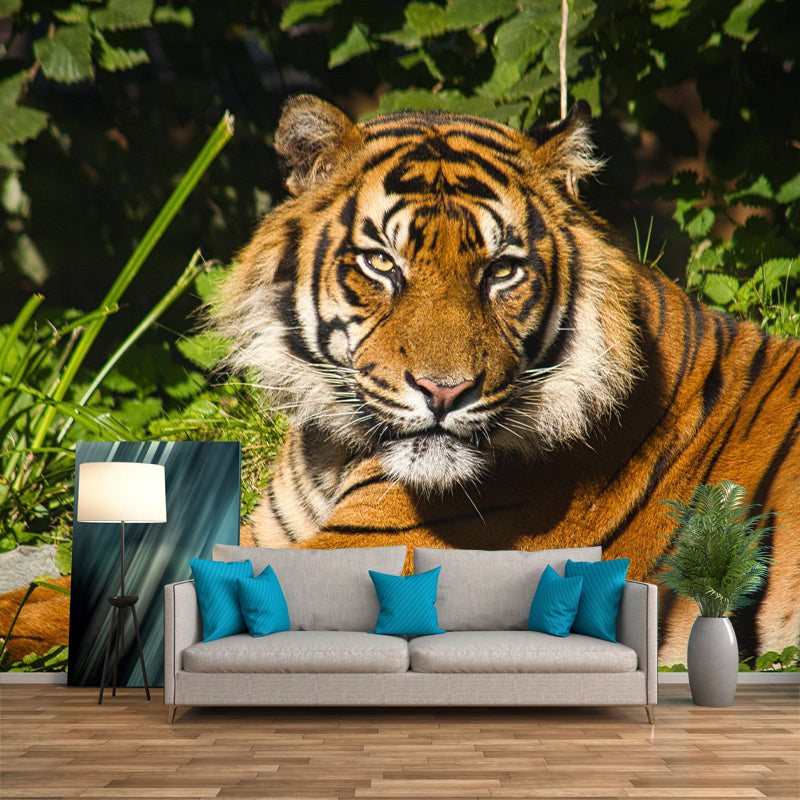 Photography Tropical Tiger Mural Wall Decor Eco-friendly Wall Art for Decoration