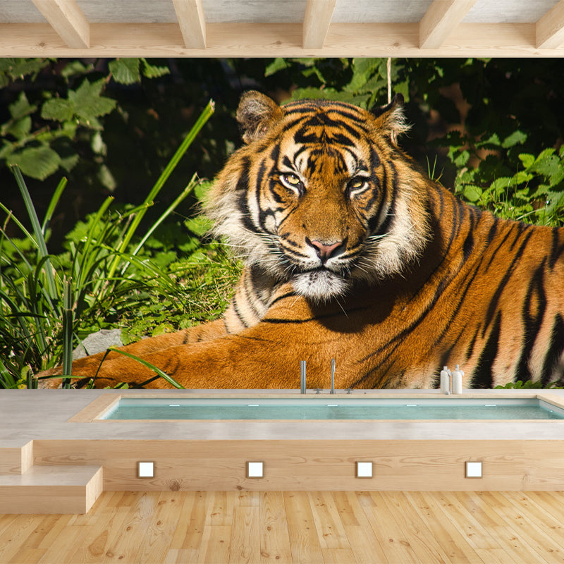 Photography Tropical Tiger Mural Wall Decor Eco-friendly Wall Art for Decoration