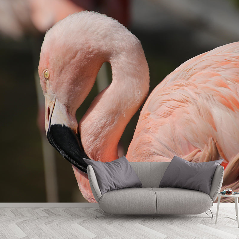 Tropical Flamingos Wall Mural Modern Decorative Living Room Wall Covering