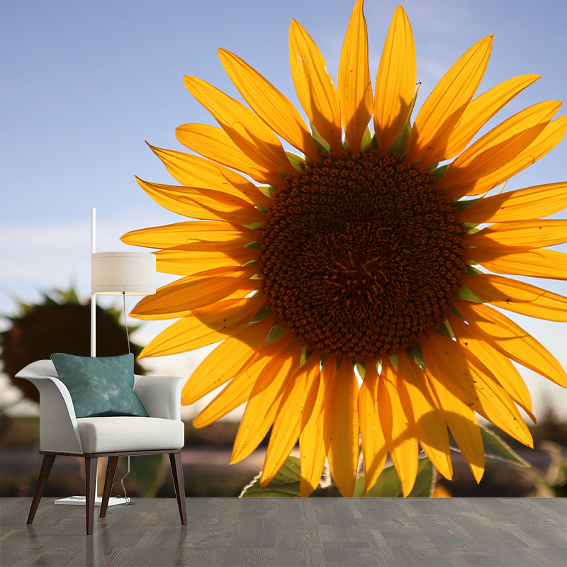 Yellow Blossoming Sunflower Wall Covering for Home Decor Stain Resistant