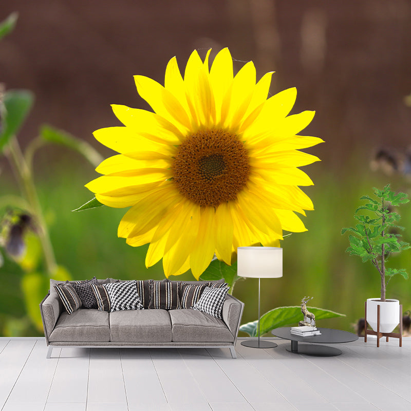 Yellow Blossoming Sunflower Wall Covering for Home Decor Stain Resistant