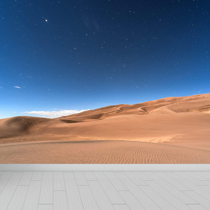 Modern Nightfall Desert View Mural Moisture Resistant Wall Art for Living Room