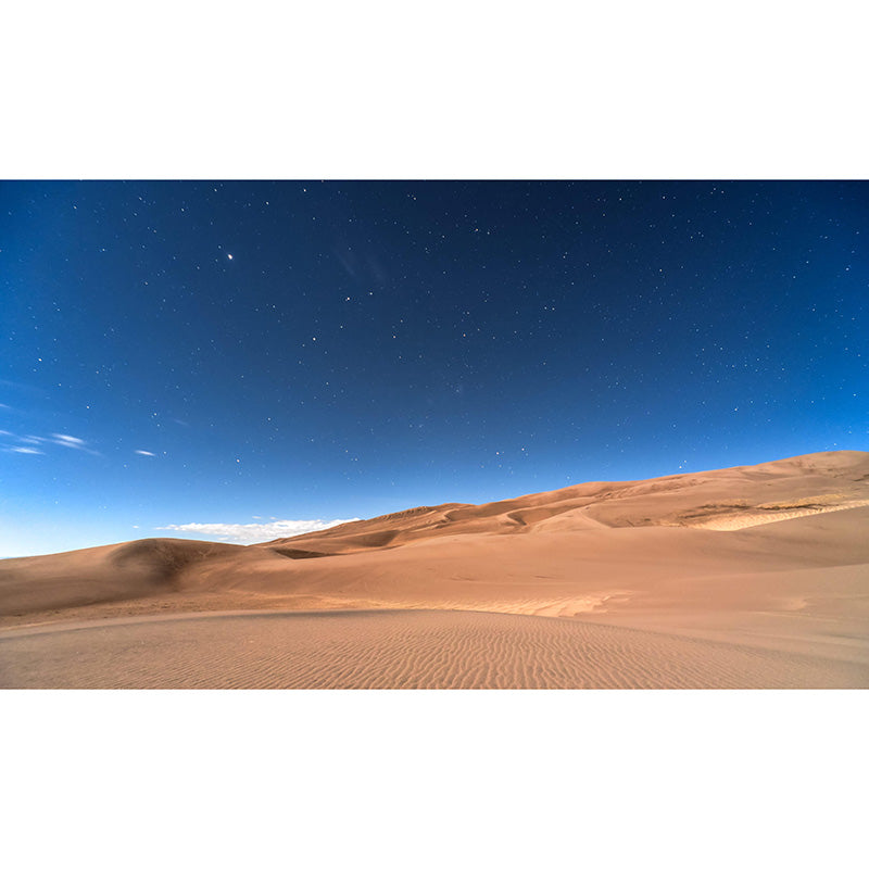 Modern Nightfall Desert View Mural Moisture Resistant Wall Art for Living Room