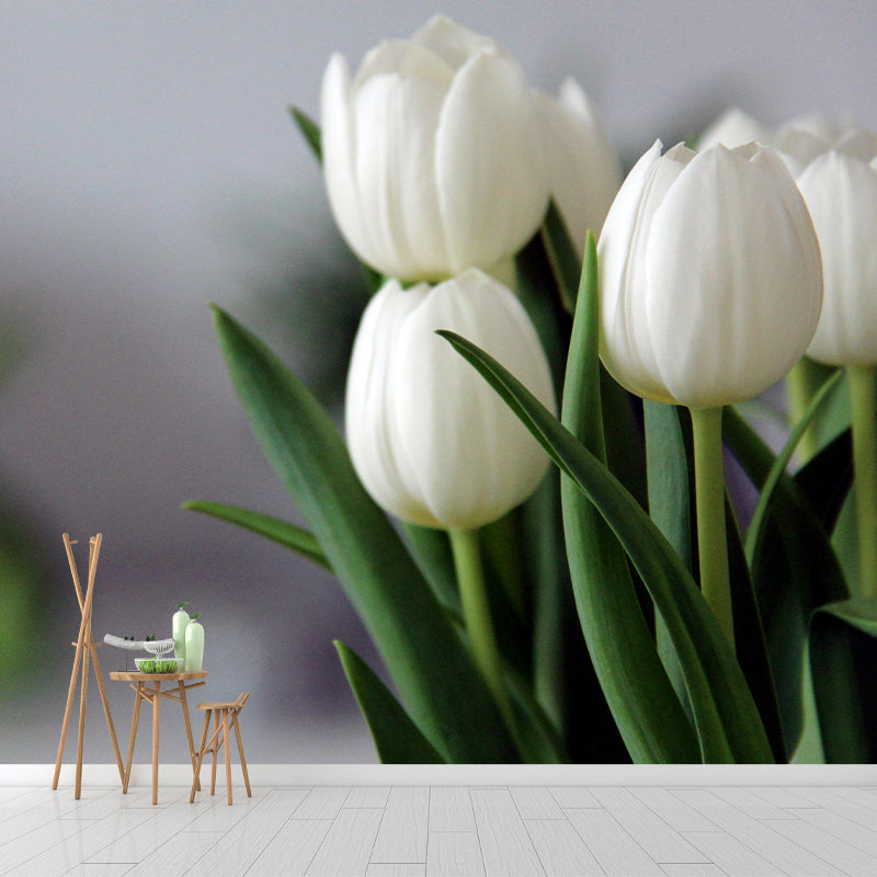 Soft Color Tulip Print Mural Contemporary Style Wall Art for Home Decoration