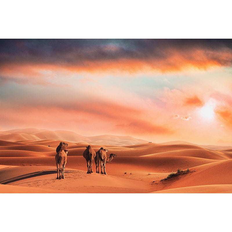 Nature Landscape of Desert Wall Mural Moisture Resistant Contemporary Wallpaper