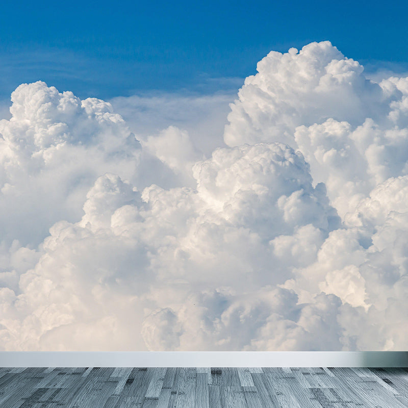 Photography Modern Style Cloud Mural Decal Mildew Resistant for Dining Room