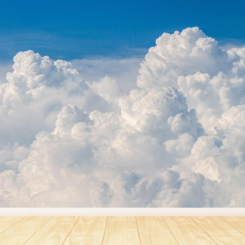 Photography Modern Style Cloud Mural Decal Mildew Resistant for Dining Room