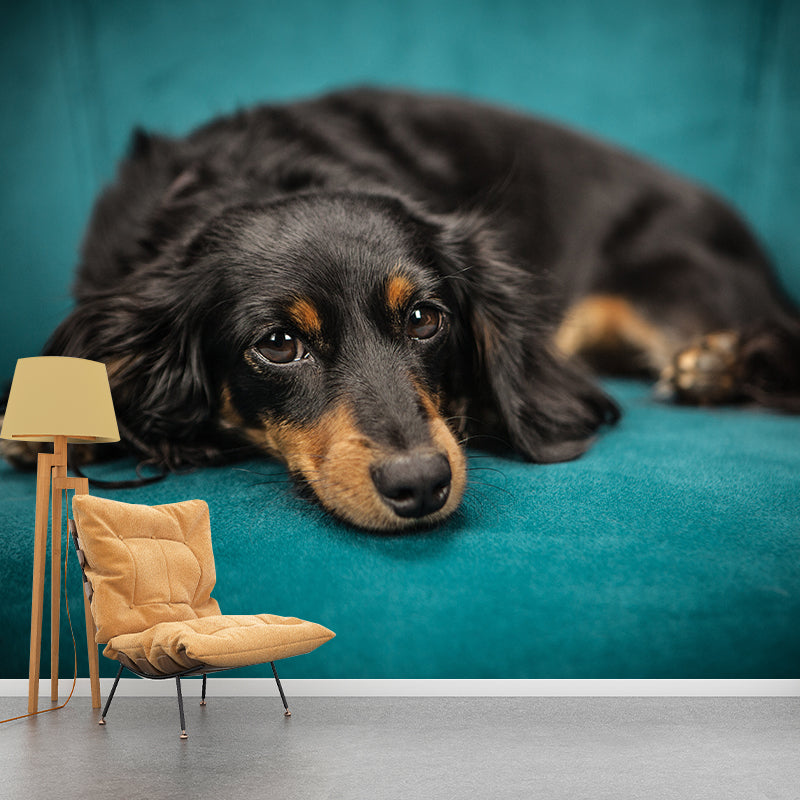 Full Size Photography Lovely Dog Mural Wallpaper Wall Decor for Boys Room