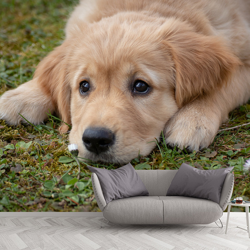 Full Size Photography Lovely Dog Mural Wallpaper Wall Decor for Boys Room