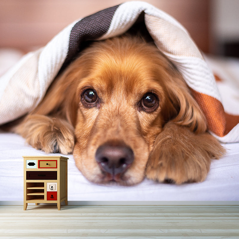 Full Size Photography Lovely Dog Mural Wallpaper Wall Decor for Boys Room