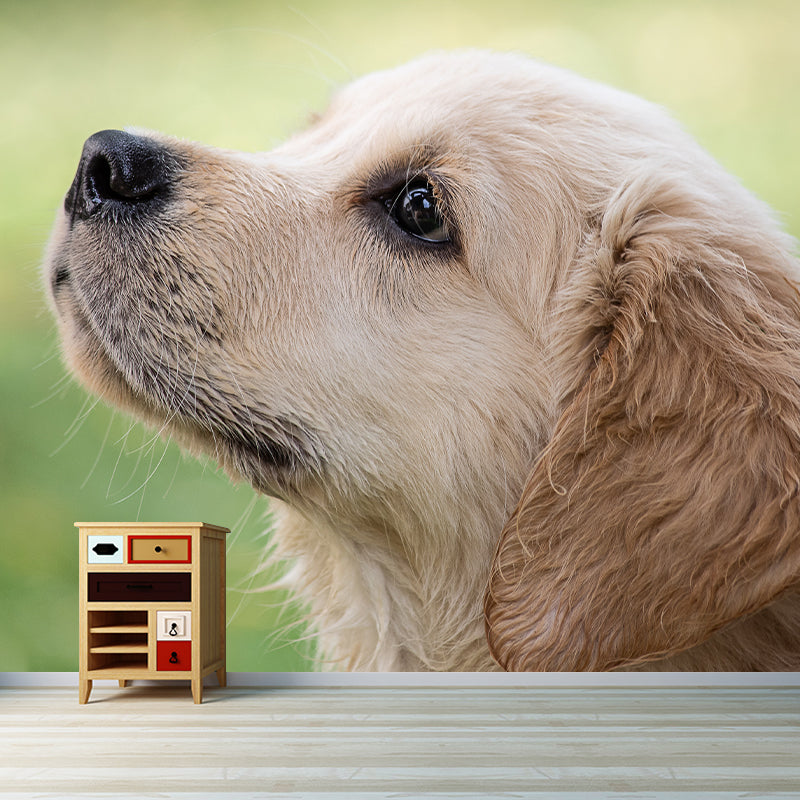 Full Size Photography Lovely Dog Mural Wallpaper Wall Decor for Boys Room