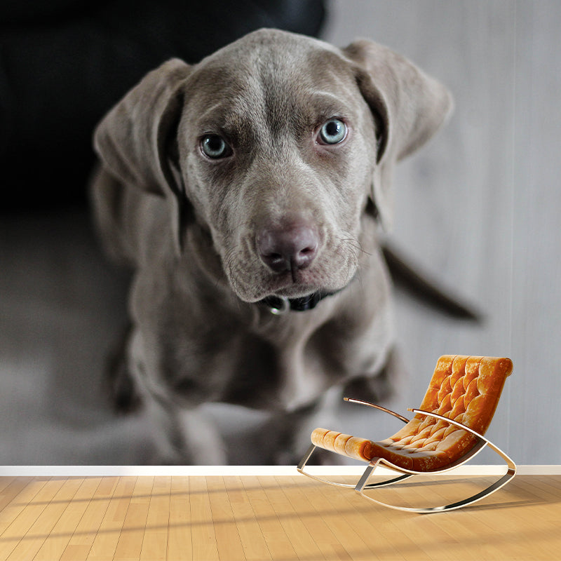 Cute Dog Wall Mural for Children Bedroom Wall Covering, Custom Made Moisture Resistant