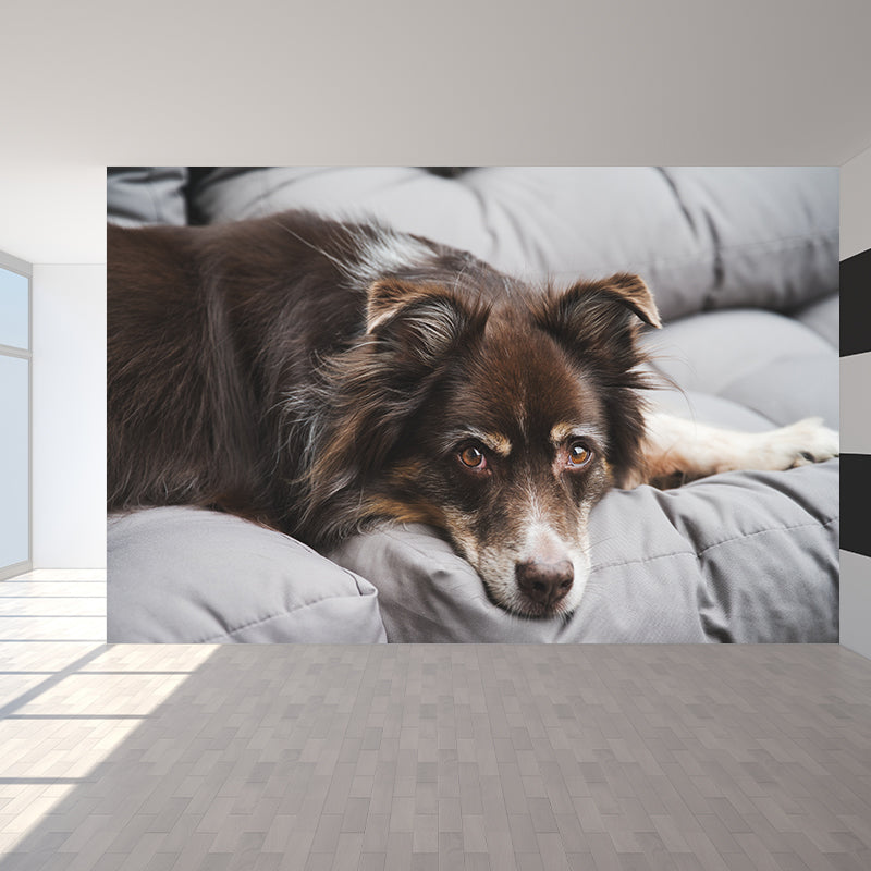 Cute Dog Wall Mural for Children Bedroom Wall Covering, Custom Made Moisture Resistant