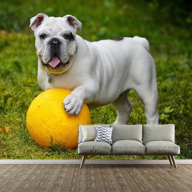 Cute Dog Wall Mural for Children Bedroom Wall Covering, Custom Made Moisture Resistant