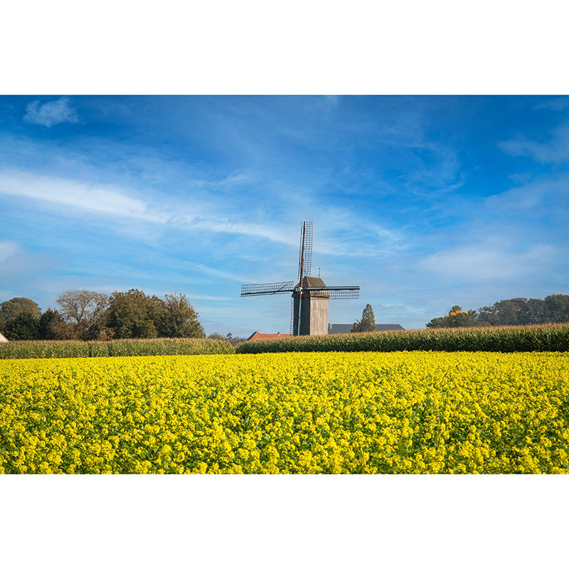 Extra Large Landscapes Windmill Mural Mildew Resistant Wall Art for Home Decor