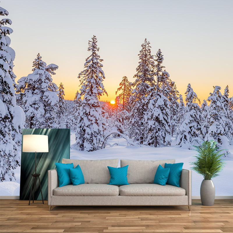 Photography Mildew Resistant Forest Mural Eco-friendly Modern Wall Covering for Adults Room