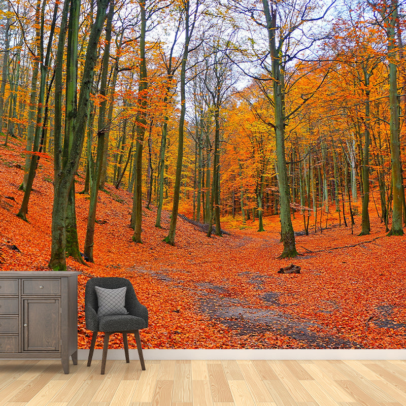 Modern Misty Forest Landscape Mural Light Color in Autumn Wall Decor for Bedroom