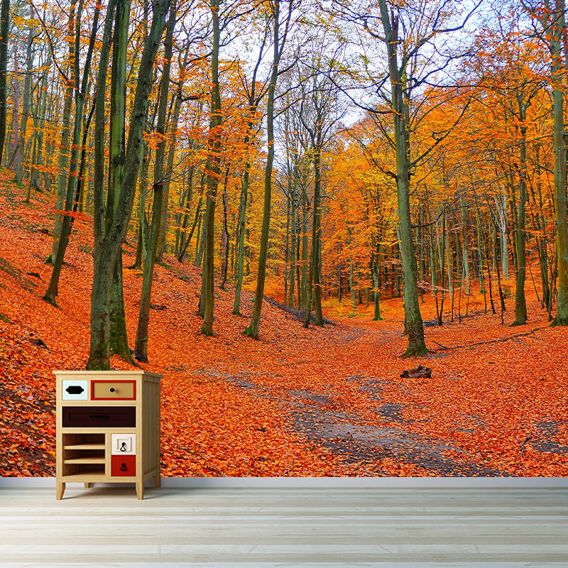 Peinture murale moderne de paysage de forêt brumeuse, couleur claire, décoration murale d'automne pour chambre à coucher