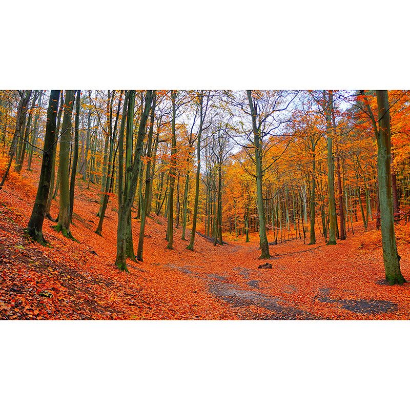 Peinture murale moderne de paysage de forêt brumeuse, couleur claire, décoration murale d'automne pour chambre à coucher