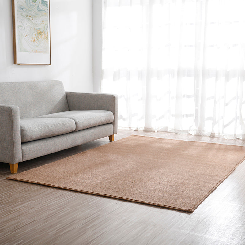 Brown Area Carpet Pure Color Polyester Area Rug Easy Care Washable Rug for Living Room