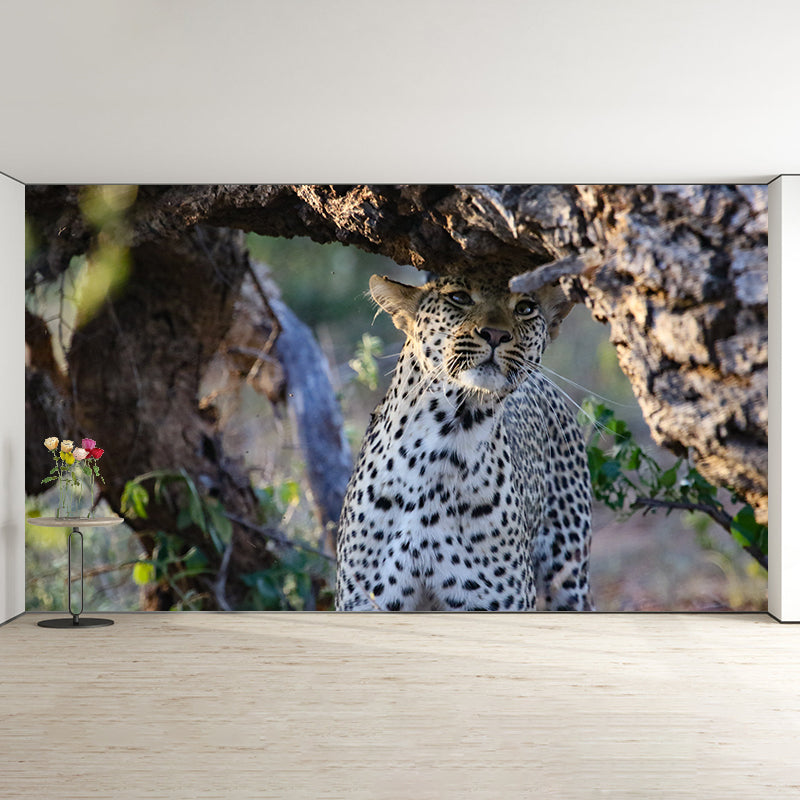 Creative Leopard Animal Wallpaper Mural Full Size Bedroom Decor Design
