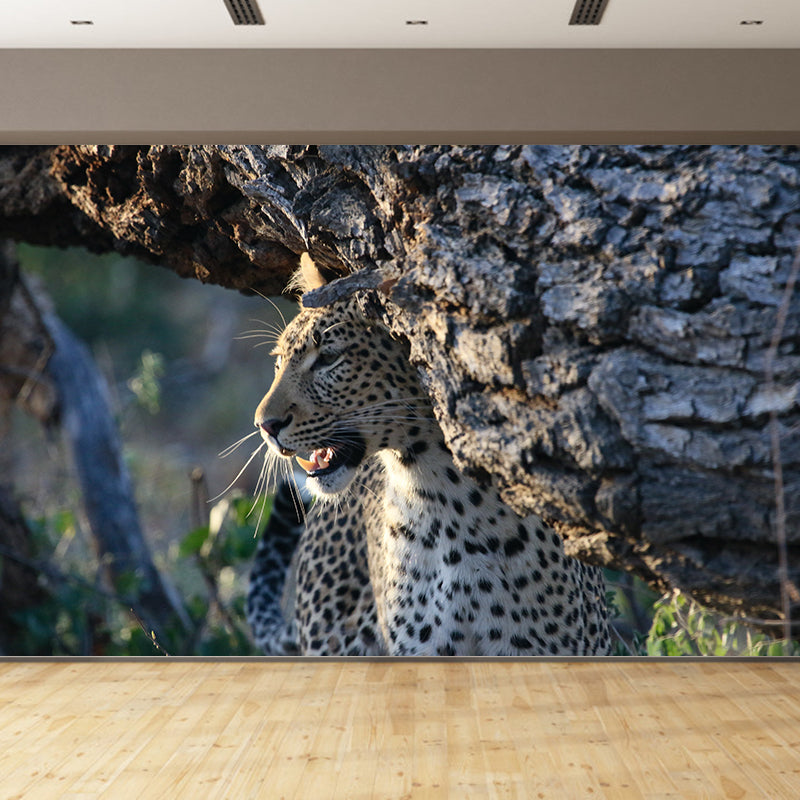 Creative Leopard Animal Wallpaper Mural Full Size Bedroom Decor Design