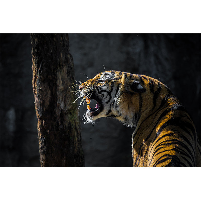 Cool Tiger Jungle Animal Wall Covering for Living Room Decoration, Moisture Resistant