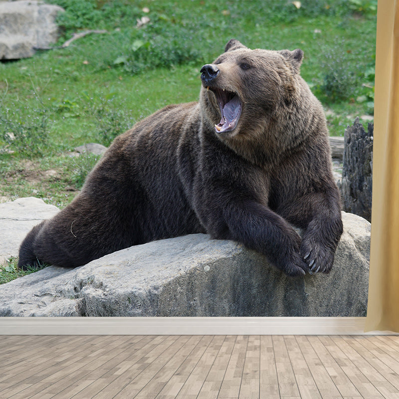 Cute Bear Wall Decals Water Resistant Wall Art for Kid's Bedroom, Made to Measure