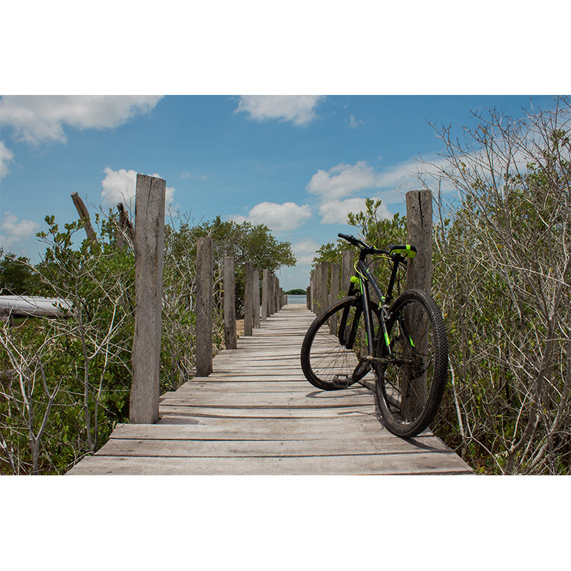 Bike Mural Wallpaper Home Decor Unique Design for Man Boy Room, Custom Size Available