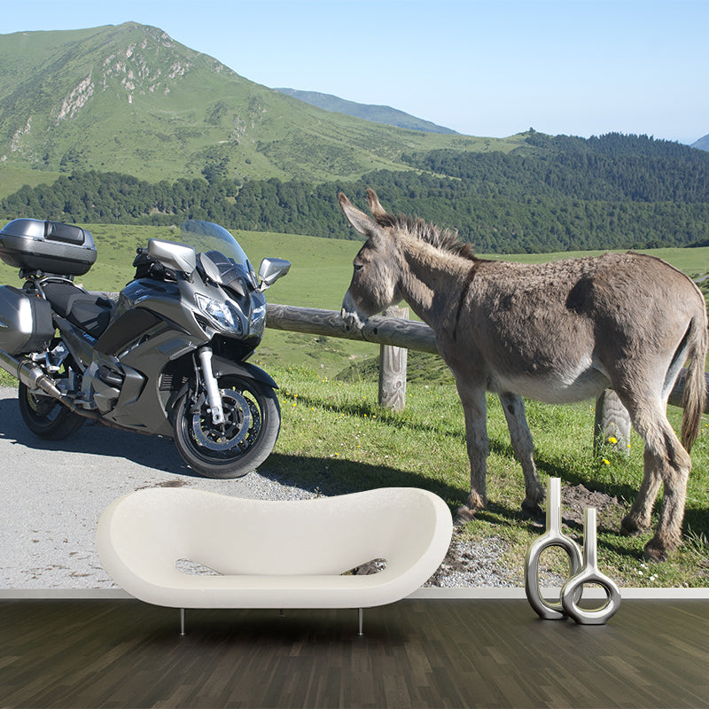 Unique Design Motorcycle Mural Wallpaper Contemporary Wall Covering for Home Decoration