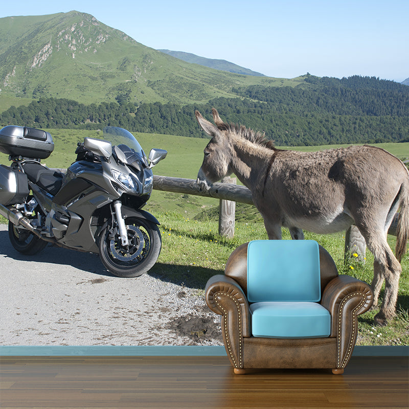 Unique Design Motorcycle Mural Wallpaper Contemporary Wall Covering for Home Decoration