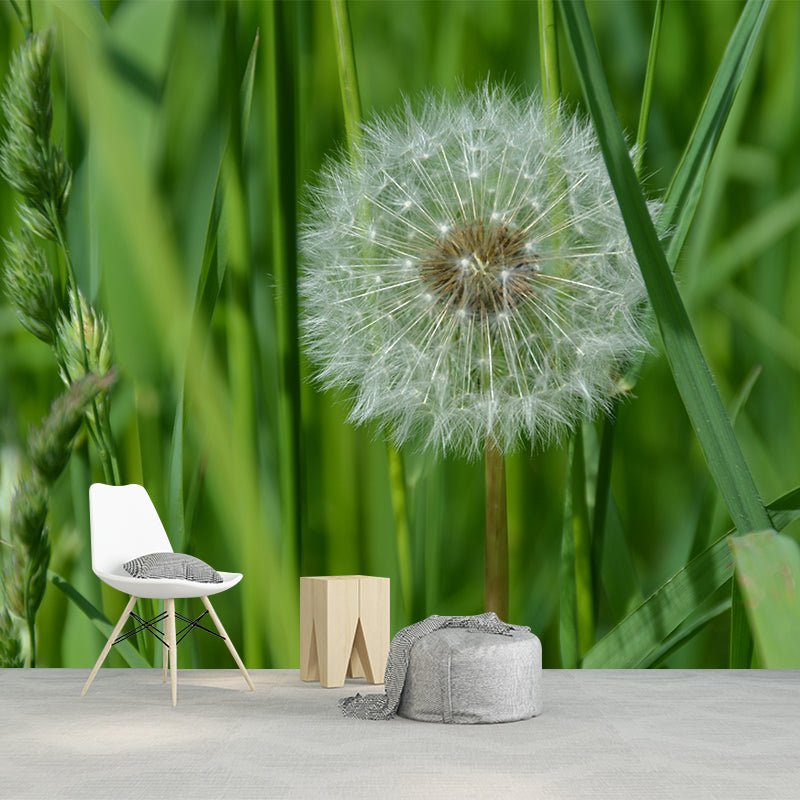 Dandelion Plant Mural Wallpaper for Living Room Decor, Custom Size Available