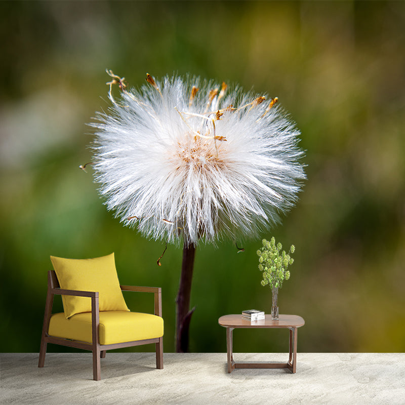 White Dandelion Plant Mural Wallpaper Moisture-Resistant Wall Covering for Home