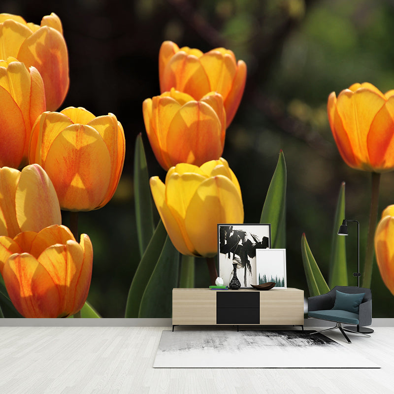 Colorful Tulip Flower Mural Wallpaper Minimalist Wall Decor, Customized Size Available