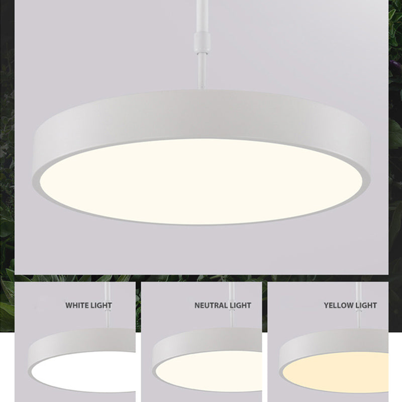 Modern Minimalist Office LED Hanging Lamp Wrought Iron Circular Pendant Light with Acrylic Shade