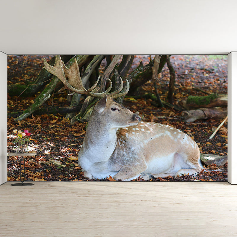 Contemporary Mural with Sika Deer Pattern Photography Decorative Wall Art for Girls' Bedroom