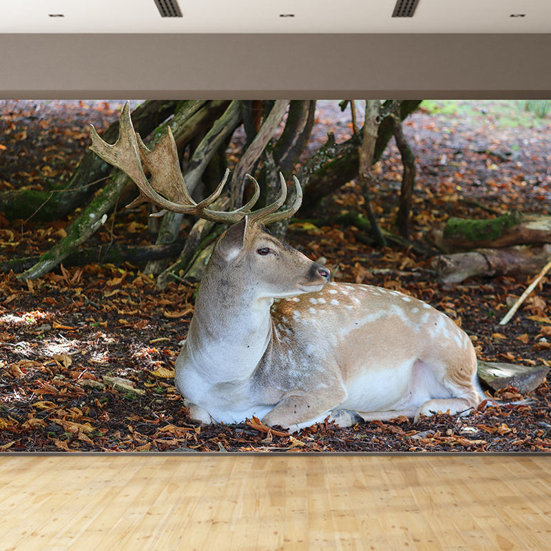 Contemporary Mural with Sika Deer Pattern Photography Decorative Wall Art for Girls' Bedroom