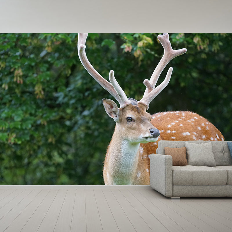 Contemporary Mural with Sika Deer Pattern Photography Decorative Wall Art for Girls' Bedroom