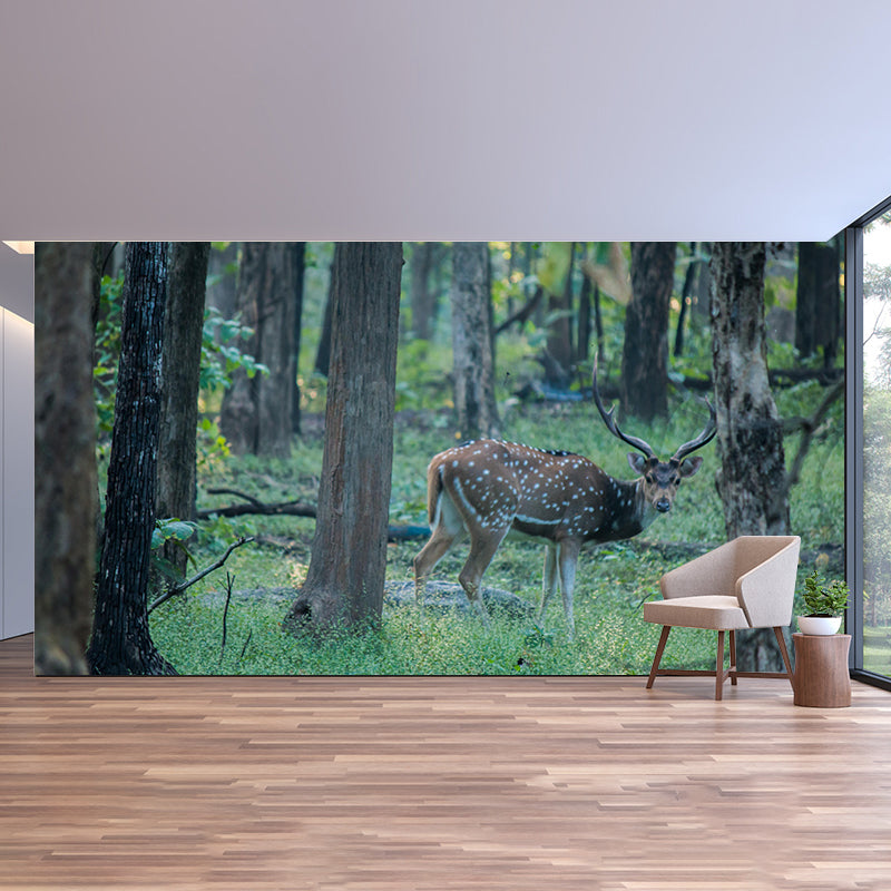 Contemporary Mural with Sika Deer Pattern Photography Decorative Wall Art for Girls' Bedroom