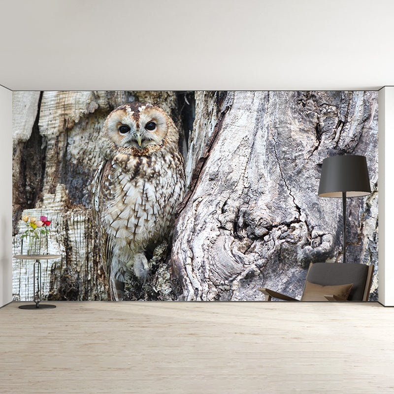Contemporary Style Owl Mural Soft Color Photography Horizontal Wall Art for Home Decor