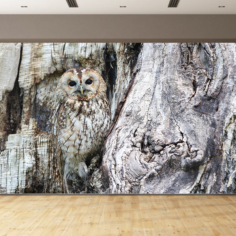 Contemporary Style Owl Mural Soft Color Photography Horizontal Wall Art for Home Decor