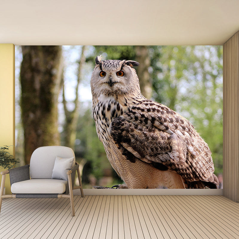 Contemporary Style Owl Mural Soft Color Photography Horizontal Wall Art for Home Decor