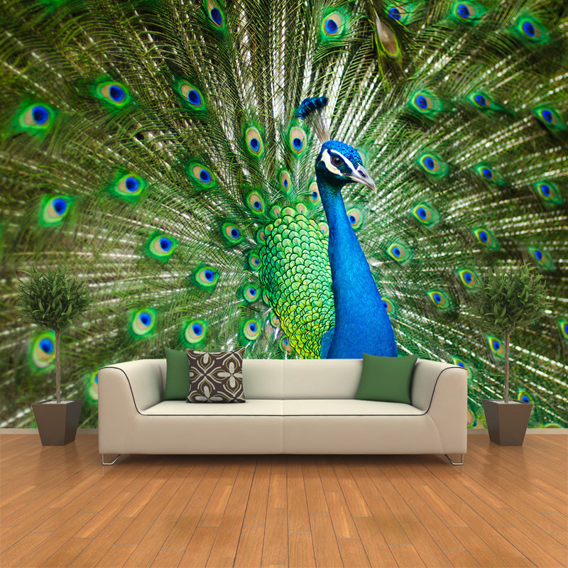 Peinture murale paon de Style Tropical avec motif de queue étalée, Art mural de couleur claire pour la décoration
