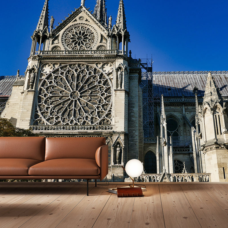 Architecture of Paris Houses Mural Decal Contemporary Water Resistant Wall Covering